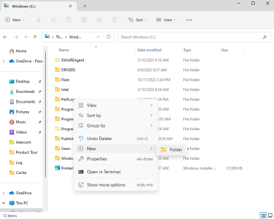 File Explorer window after right clicking and selecting the New then Folder option. 