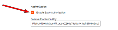 Epic Connector section with an arrow pointing to the Enable Basic Authorization setting, and the Basic Authorization Key field is shown with the key generated. 