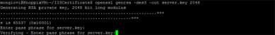 Terminal window showing the prompt to enter the passphrase for the server.key. 