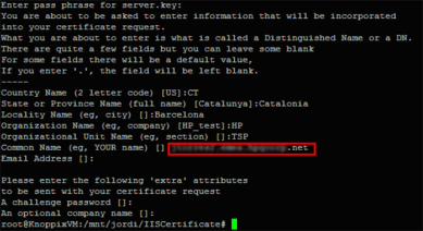 Terminal window with the returned server FQDN highlighted in red. 