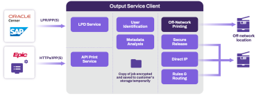 Process diagram showing how Output Automation works.