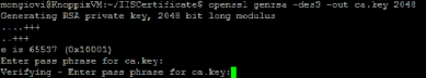 Terminal window showing the prompt to enter the ca.key passphrase. 