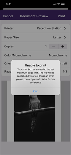 Unable to print message due to exceeded page limit.