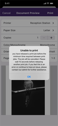 Unable to print message due to minimm time between print jobs not met