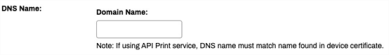 DNS Name section of the Output Automation tab