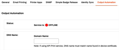 Output Automation tab showing the DNS Name section